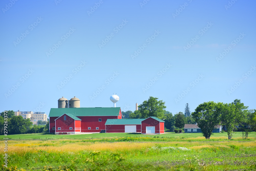 Obraz premium Red Barns 