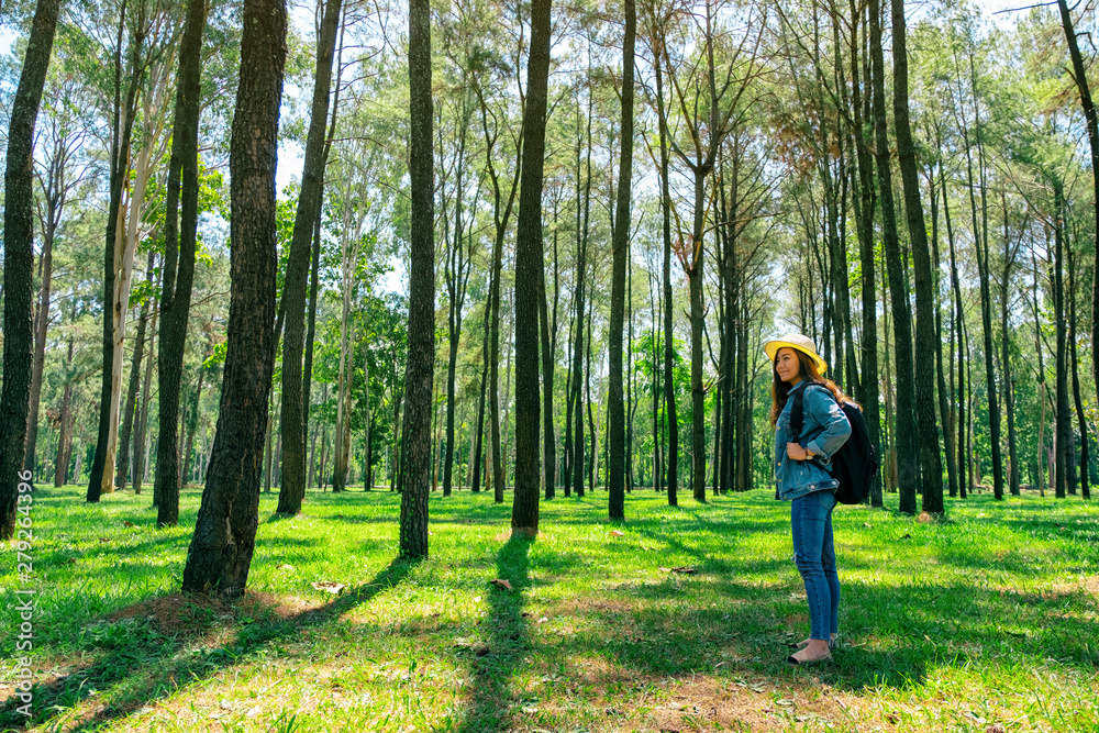 An asian female traveler with a hat and backpack looking into a beautiful pine woods An asian female traveler with a hat and backpack looking into a beautiful pine woods