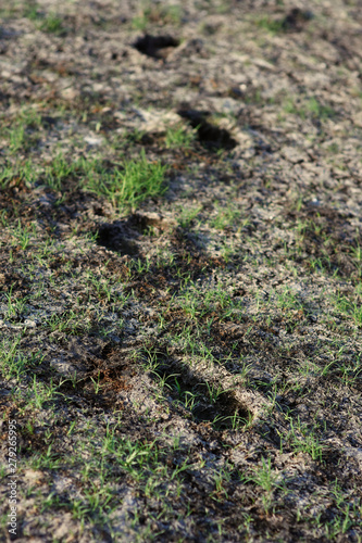 a foot print on drying land.