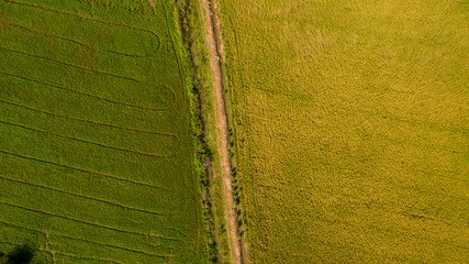 Handdoek met foto Rijstvelden Luchtfoto rijstvelden in waterseizoen  © kanpisut