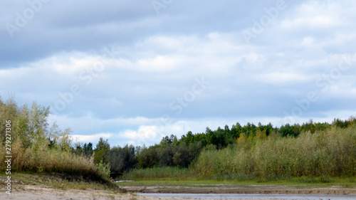 The tops of trees and shrubs in the shade during the day under the clouds near the sandy shore of a small river in the tundra of Northern Yakutia.