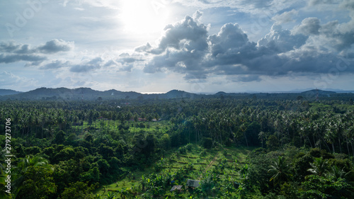 Cloudy flow over coconut garden in Samui island, Suratthani, Thailand at afternoon 