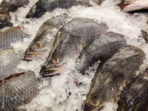 Fresh Seabasses on Ice in the Market photo