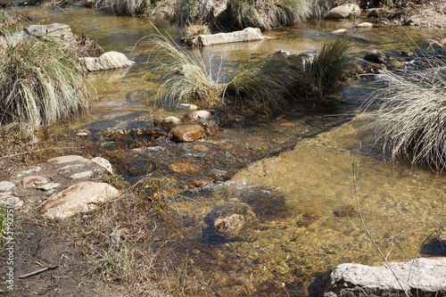 Clear stream with scattered rocks and dry grass © John