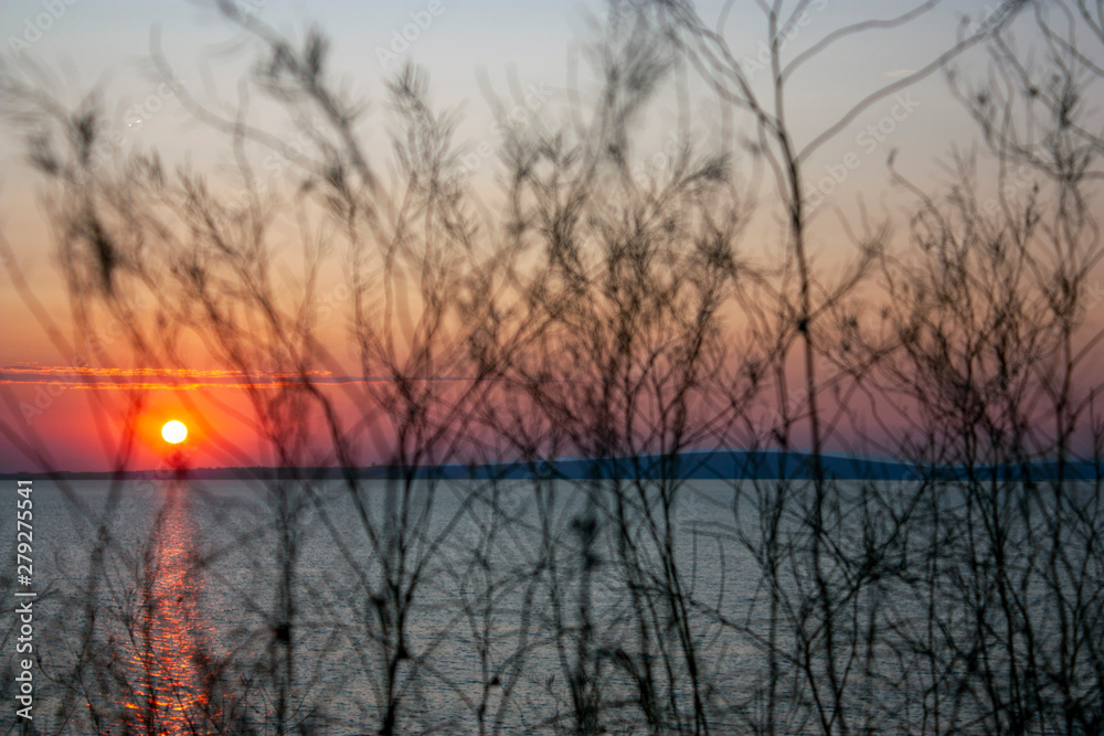 Obraz premium The sun at sunset. The red sun above the horizon at sunset. Sunset on the sea. The sun above the horizon through the dry branches.