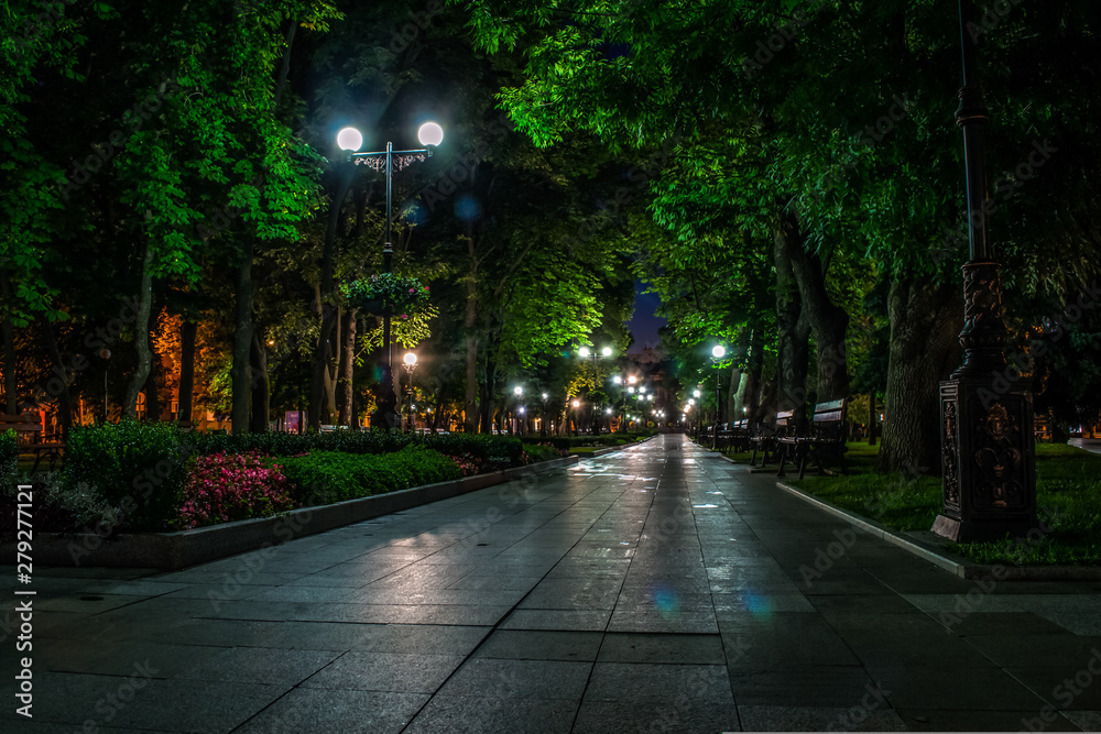 A night in the park. Street lights lit the wet footpath. The night park is lighting dimly.
