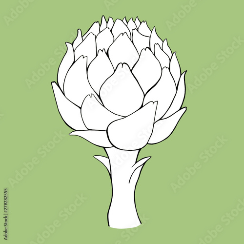 Artichoke on a green background.  Realistic, hand-drawn illustration on a green background. Can be used for postcards, invitations, advertising, web.