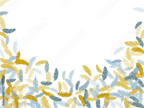 Detailed majestic feather on white design.