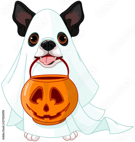 Halloween dog photo