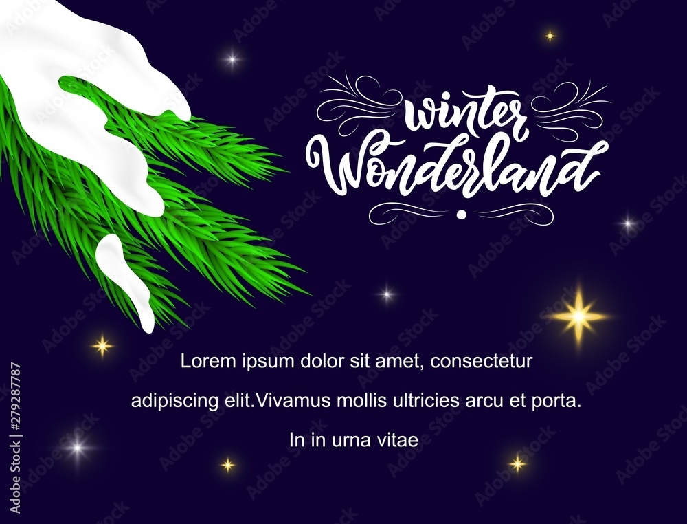 Calligraphy modern lettering Winter wonderland on night sky with with spruce branch with snow and stars