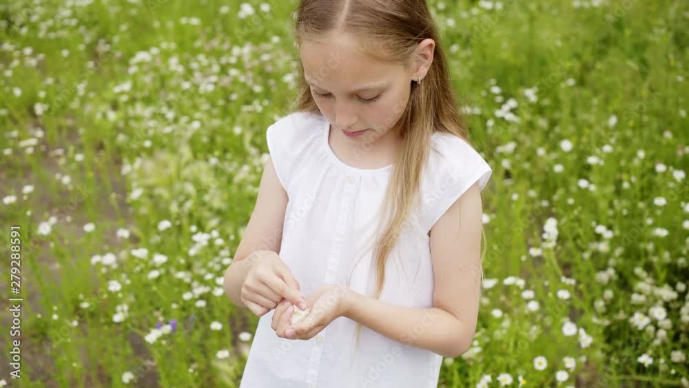 Girl Collects Petals Daisies Glade Outdoor Nature. Attractive Caucasian Female Child Pick up Flowers Chamomile Lawn. Blond Long Hair Kid Relax Blossom Scenery Leisure Concept Floral Background Girl Collects Petals Daisies Glade Outdoor Nature. Attractive Caucasian Female Child Pick up Flowers Chamomile Lawn. Blond Long Hair Kid Relax Blossom Scenery Leisure Concept Floral Background