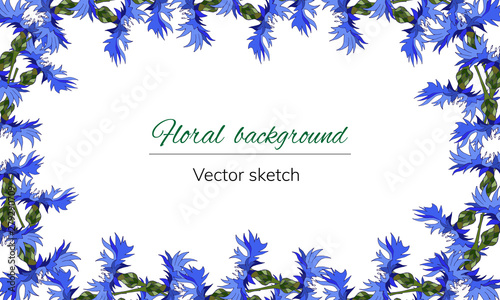 Floral frame for text. Bright blue flowers on a white background for decoration, paper, cards, greetings. Cornflowers. Vector illustration