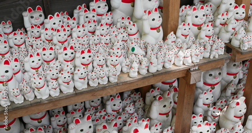 Traditional Gotokuji Shrine in Tokyo city photo