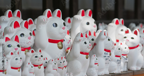 Photography Gotokuji Shrine with lots of cat statues