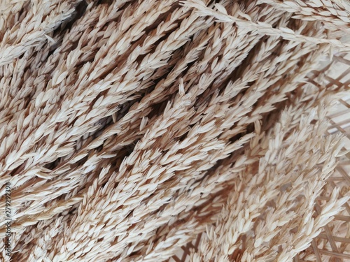 texture of rope