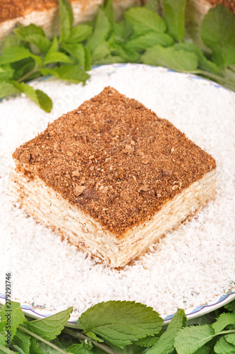 Layered cake with cream Napoleon millefeuille vanilla slice with mint on coconut background photo