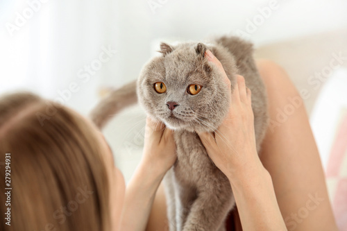 Cute cat with owner lying i...