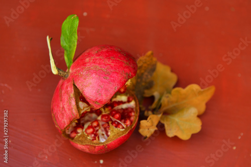 Ripe freshly torn pomegranate fruit lying on the table with oak leaves
