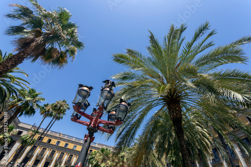 Photography Lampposts in Placa Reial