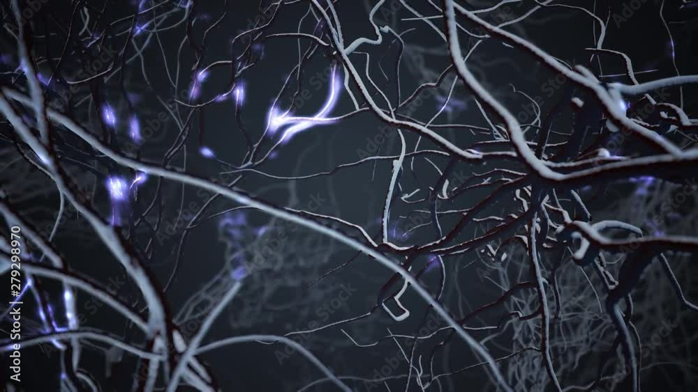 Neurons in brain. Loop. 3D animation of neural network.