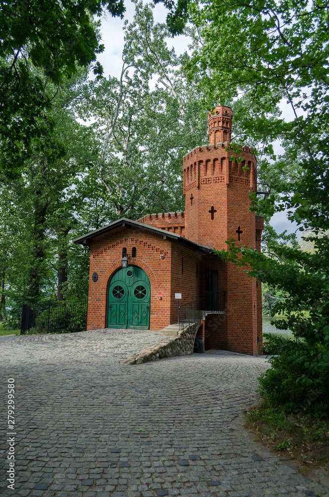 Fototapeta premium park