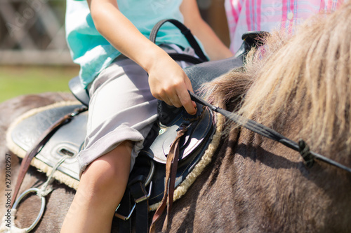 Close up of little boy wearing blue t-shirt sitting on horse