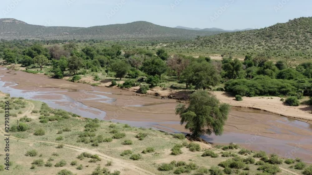 Flying over landscape of Kenya, two Bull Elephants engaged in fight in background Flying over landscape of Kenya, two Bull Elephants engaged in fight in background