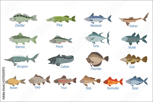 River Fish Identification Slate With Names photo