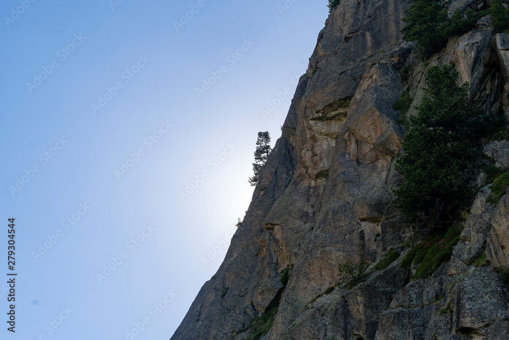 Lone tree on a mountain cliff with sun behind