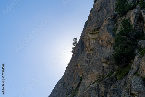 Lone tree on a mountain cliff with sun behind