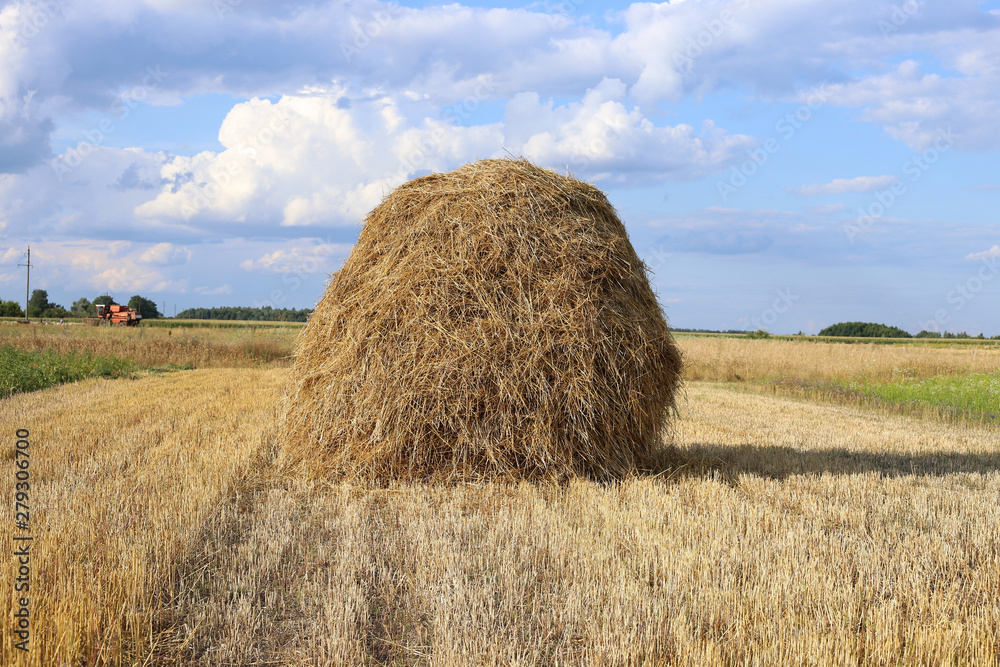 A large pile of hay in the middle of a mown rye field in the evening.