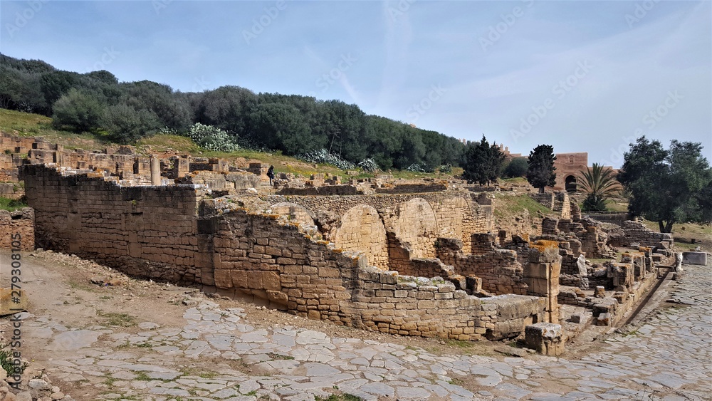 Maroc, Forum Romain de la nécropole de Rabat