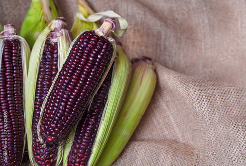 Fresh red corn, Siam ruby, purple corn of Thailand is a type of sweet corn.Fresh-edible varieties, flavors are sweet and crisp is placed on the sack cloth.