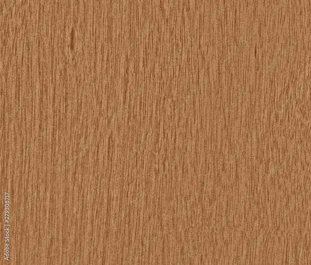 Fototapeta premium Wood texture background, wood planks backdrop.
