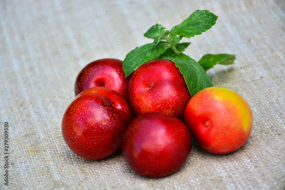 Ripe juicy plum with mint leaves Ripe juicy plum with mint leaves