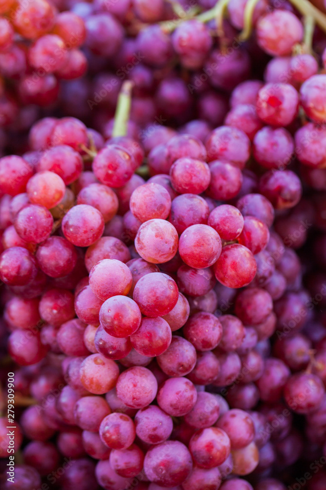 fresh grape fruit. ingredient for making wine fresh grape fruit. ingredient for making wine