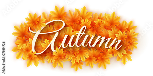 Autumn backgound. Scattered maple leaves isolated on white background with text. Autumn leaf bouquet. Seasonal banner for your design. Vector illustration