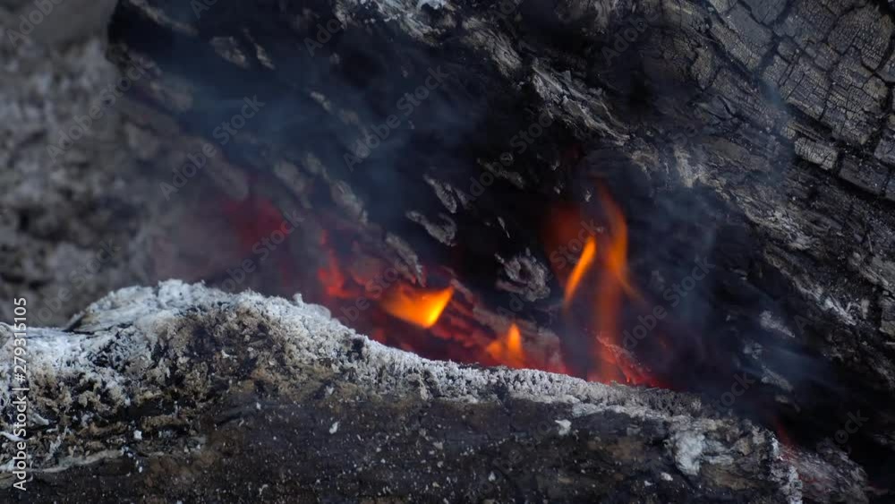 embers. fire. the smoke from the fire. fire. bonfire site. flame. the heat of the fire. embers. fire. the smoke from the fire. fire. bonfire site. flame. the heat of the fire.