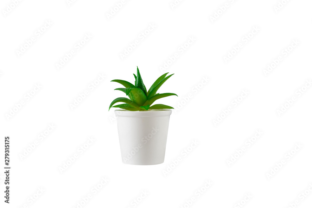 Decorative green flower in white vase. Isolated on white background. Decorative green flower in white vase. Isolated on white background.