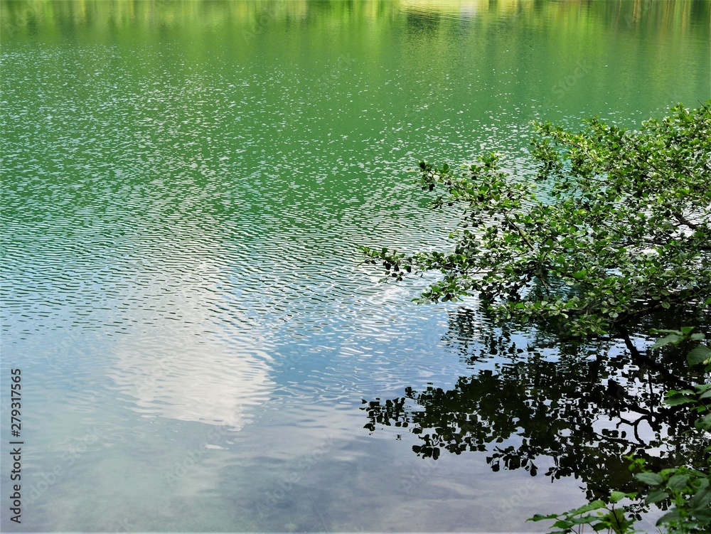 Thumsee Thumsee