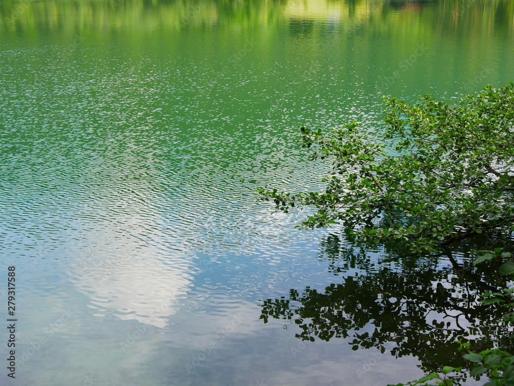 Fototapeta premium Thumsee