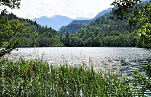 Thumsee photo