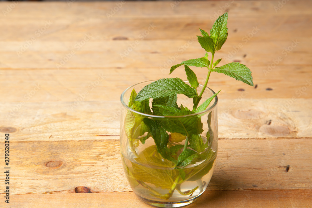 Hojas de menta; la menta es