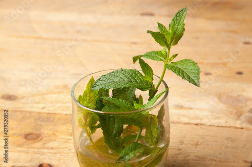 Hojas de menta; la menta es una hierba cuyas hojas tienen mucho aroma y un sabor extraordinario. Las hojas de la menta se utilizan en cocina, en pastelería, en coctelería, en medicina y en otras espec photo