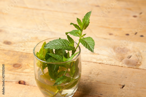 Hojas de menta; la menta es una hierba cuyas hojas tienen mucho aroma y un sabor extraordinario. Las hojas de la menta se utilizan en cocina, en pastelería, en coctelería, en medicina y en otras espec photo