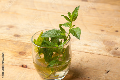 Hojas de menta; la menta es una hierba cuyas hojas tienen mucho aroma y un sabor extraordinario. Las hojas de la menta se utilizan en cocina, en pastelería, en coctelería, en medicina y en otras espec photo