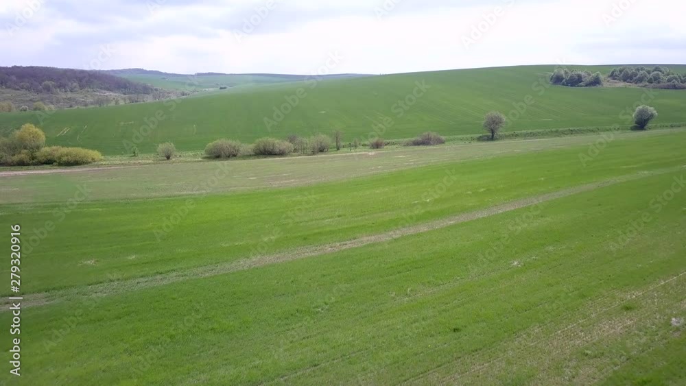 Aerial view of green agriculture field in summer or spring. Aerial view of green agriculture field in summer or spring.
