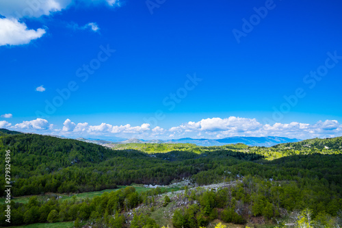 Montenegro, Green wideness of nature landscape full of green trees covering hilly and rocky country scenery near savnik in springtime with blue sky