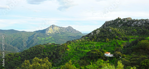 Sierra Crestellina in the Natural Park of Alcornocales, province of Malaga, southern Spain photo