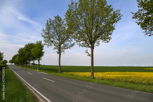 Asphalt road among fields in the countryside of Germany